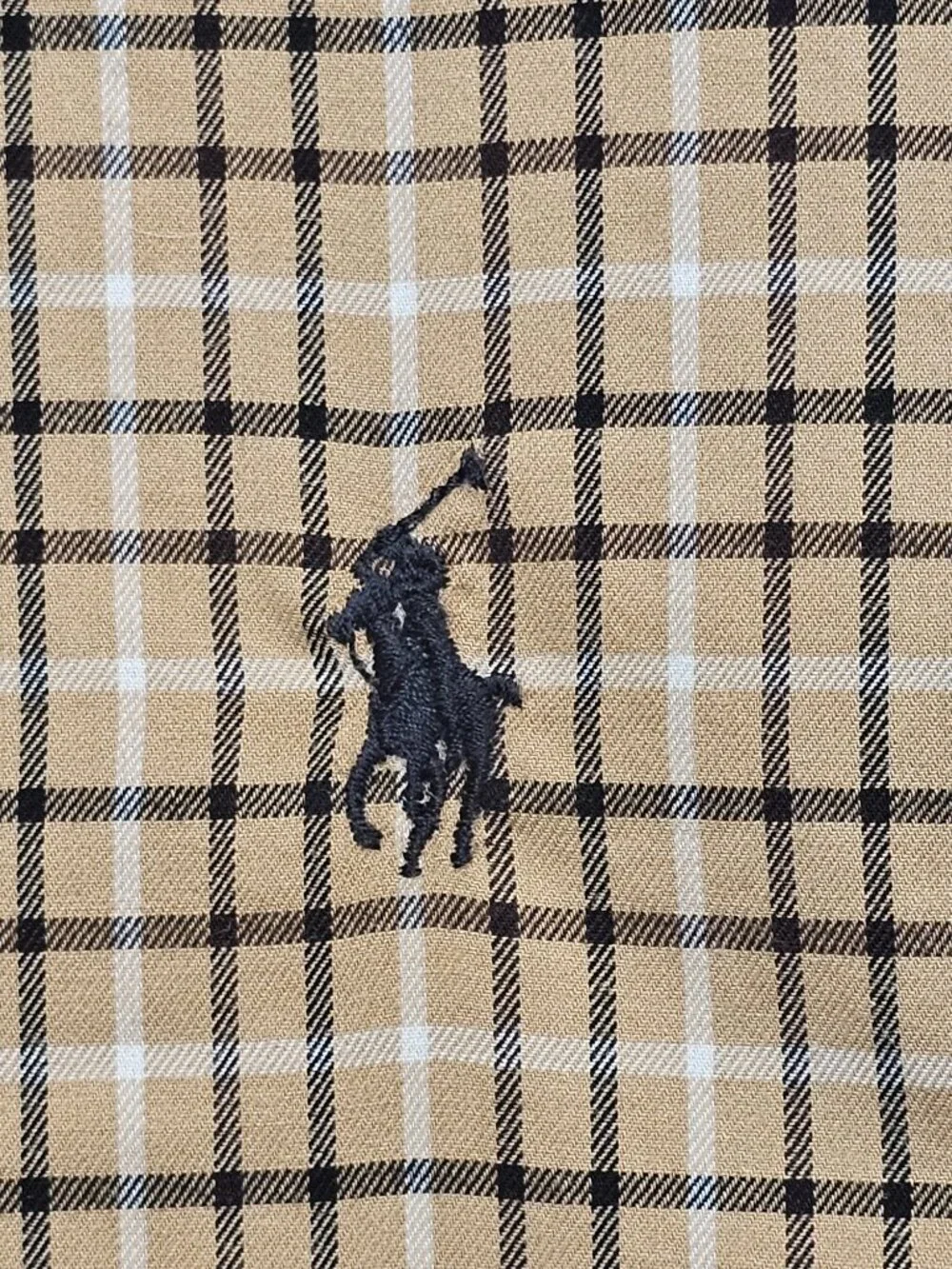 Polo Ralph Lauren this shirt